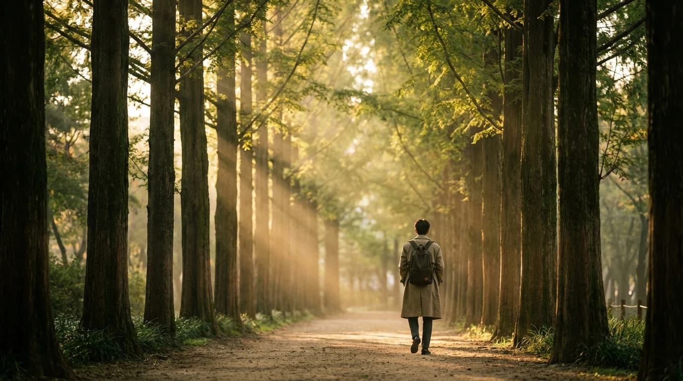 Balanced walking path in Seoul Forest with trees, open lawn, and natural photo flow
